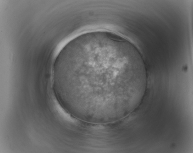 X0000114171524200910221639