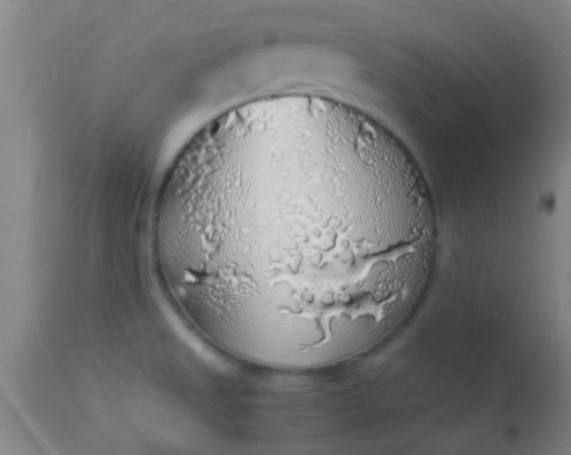 X0000114171525200910221639