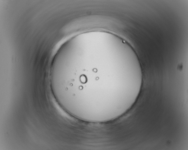 X0000114171526200910221639