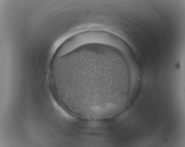 X0000114171527200910221639