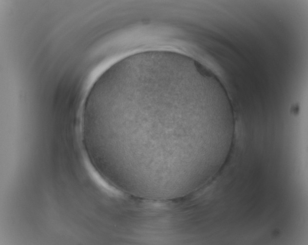 X0000114171528200910221639