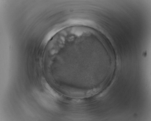 X0000114171529200910221639