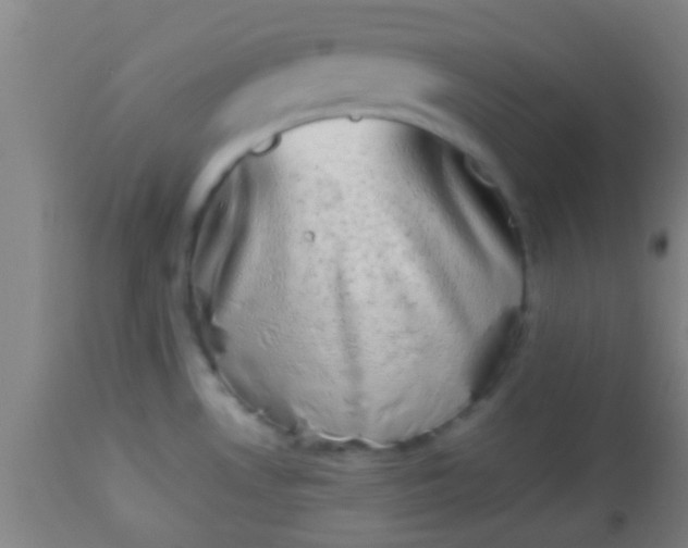 X0000114171530200910221639