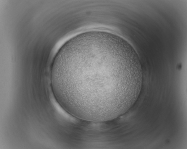 X0000114171531200910221639