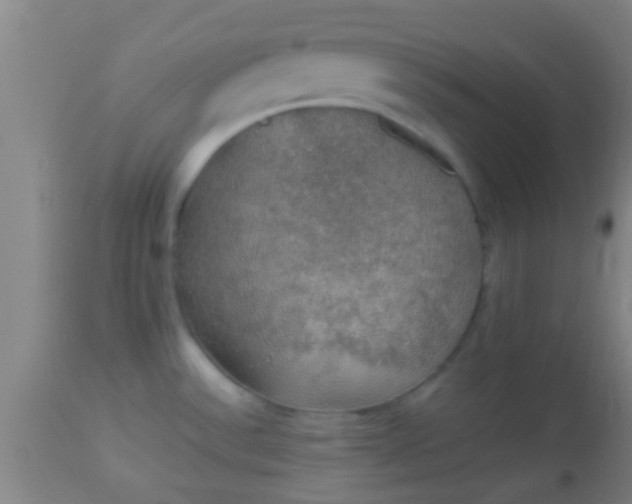 X0000114171532200910221639