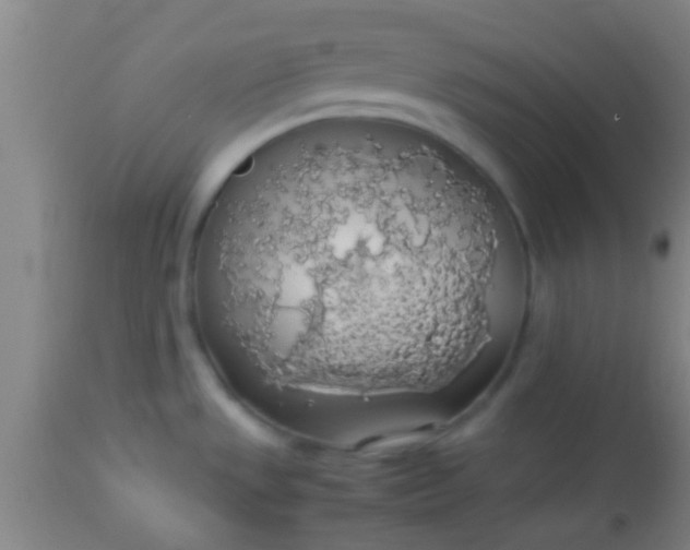 X0000114171533200910221639