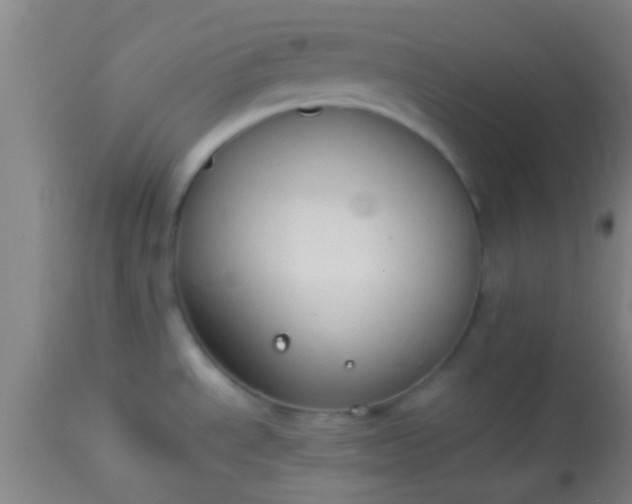 X0000114171534200910221639