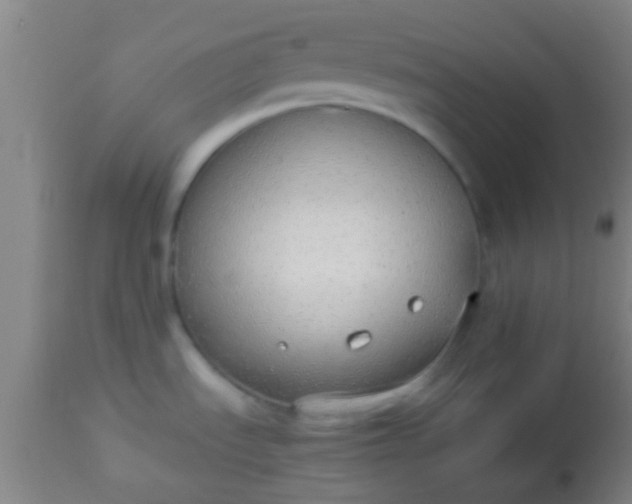 X0000114171535200910221639