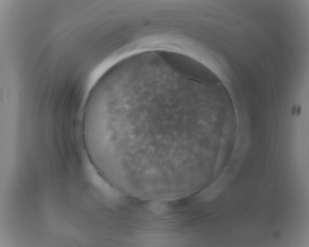 X0000114171536200910221639