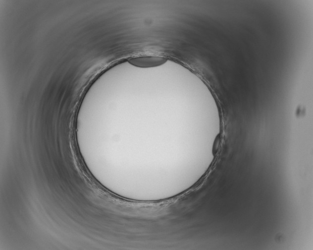 X0000114170001200911051538