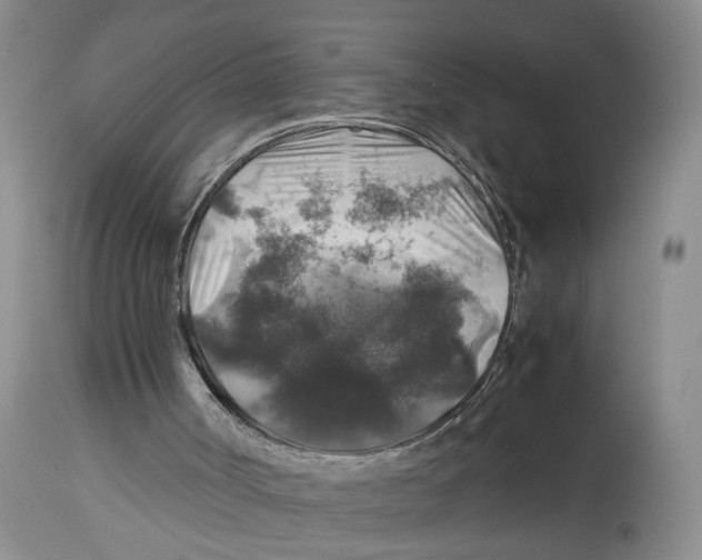 X0000114170002200911051538