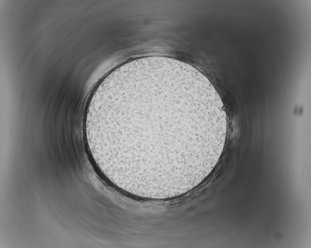 X0000114170004200911051538