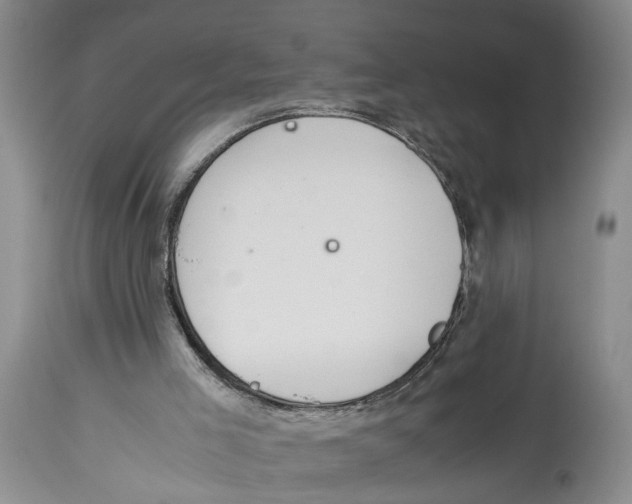 X0000114170005200911051538