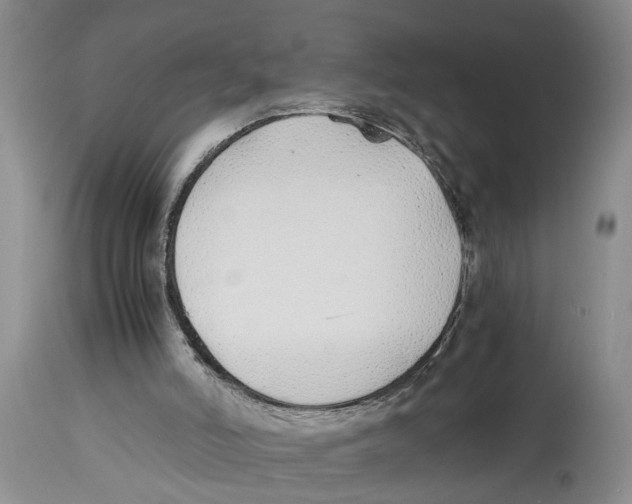 X0000114170006200911051538