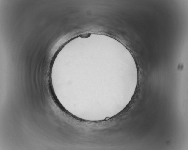 X0000114170007200911051538