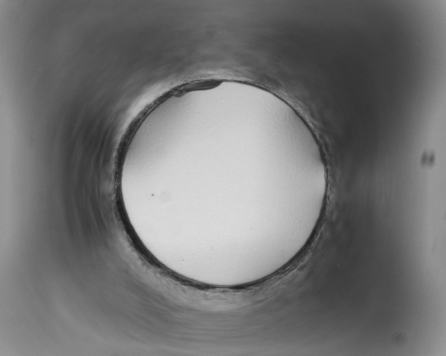 X0000114170008200911051538