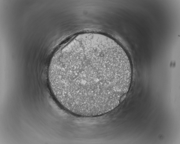 X0000114170009200911051538