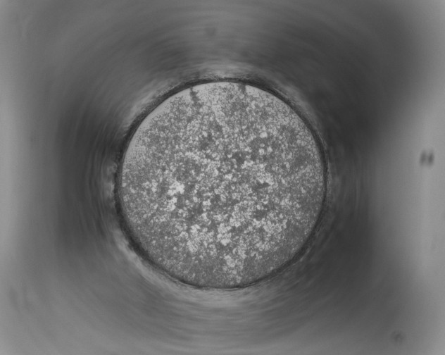 X0000114170010200911051538