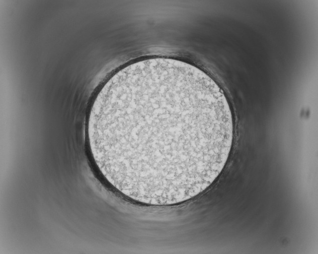 X0000114170011200911051538