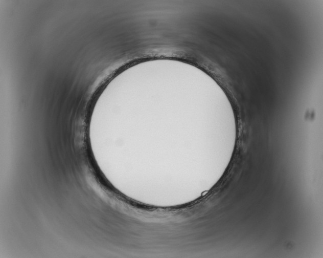 X0000114170012200911051538