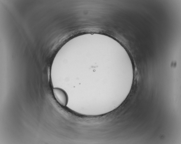 X0000114170013200911051538