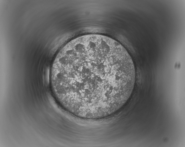 X0000114170014200911051538