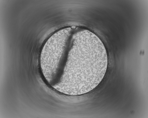 X0000114170015200911051538