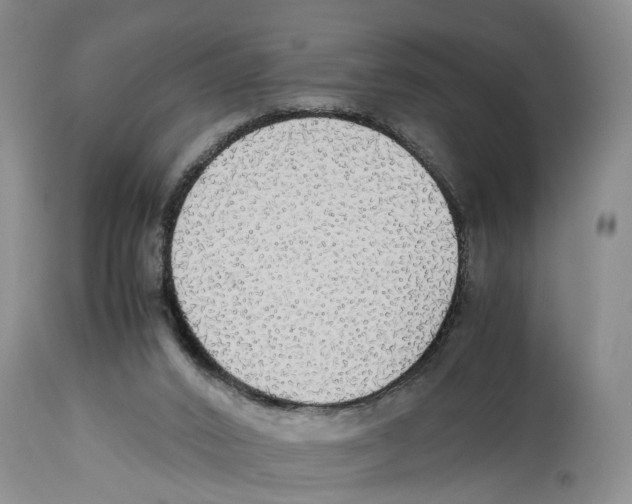 X0000114170016200911051538