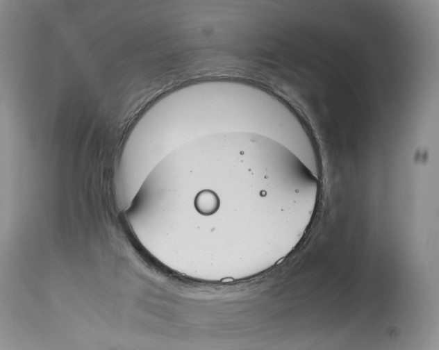 X0000114170017200911051538