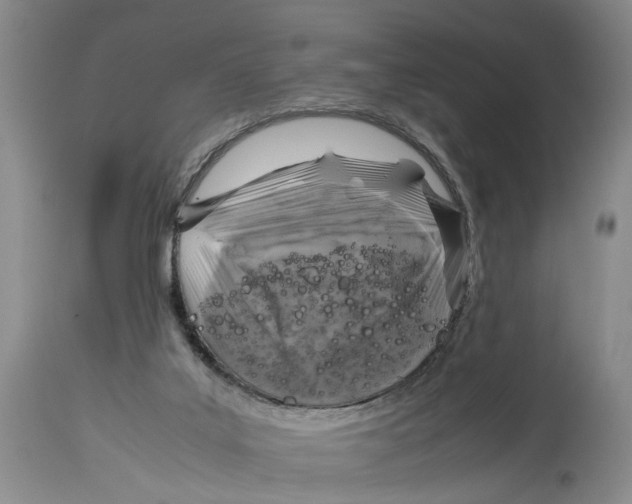 X0000114170019200911051538