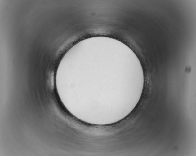 X0000114170020200911051538