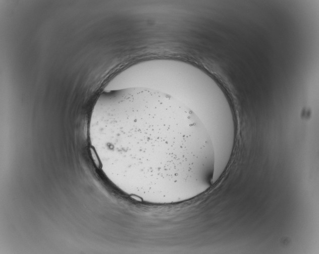 X0000114170021200911051538