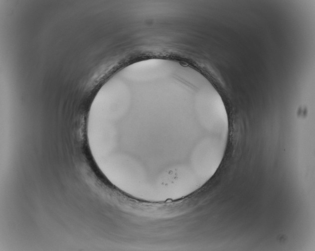 X0000114170023200911051538