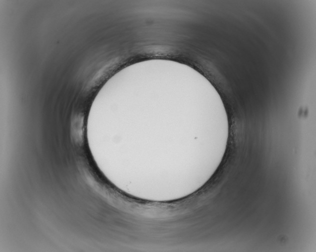 X0000114170024200911051538