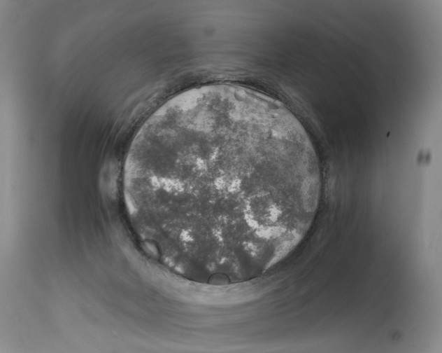 X0000114170026200911051538