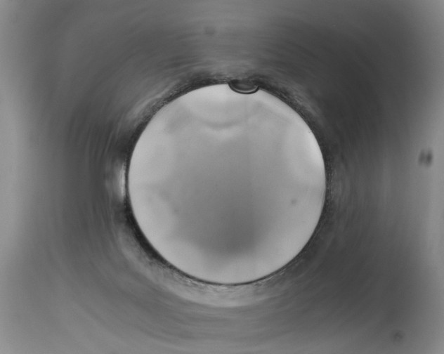 X0000114170027200911051538