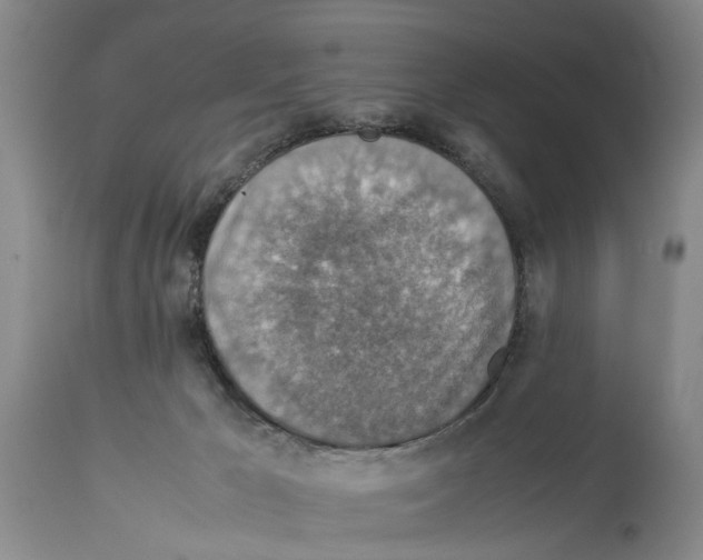 X0000114170029200911051538