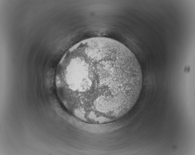 X0000114170030200911051538