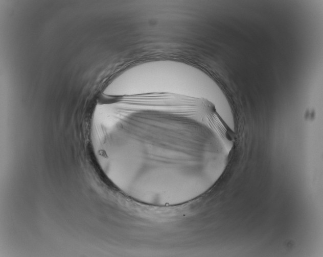 X0000114170031200911051538