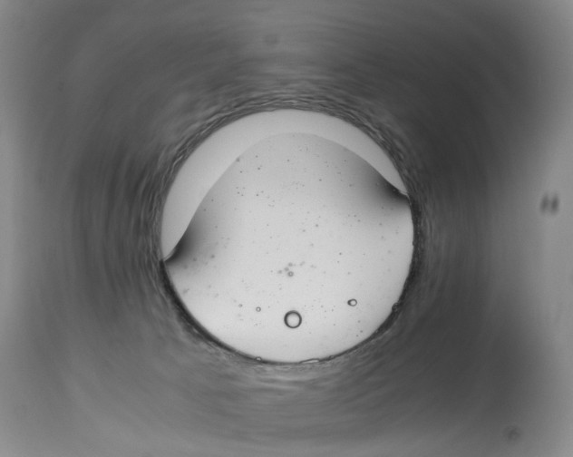 X0000114170033200911051538