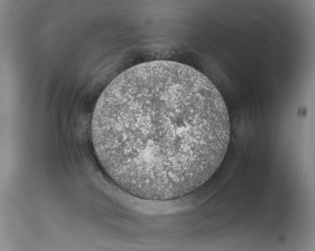 X0000114170034200911051538