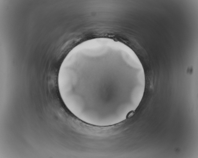 X0000114170035200911051538