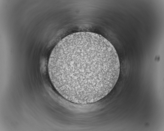 X0000114170038200911051538