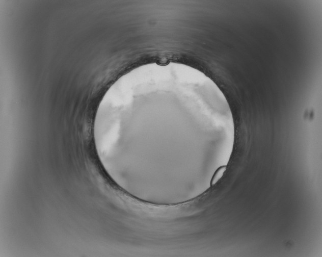 X0000114170039200911051537