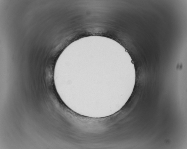 X0000114170040200911051537