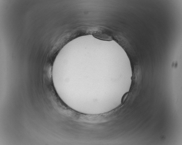 X0000114170041200911051537