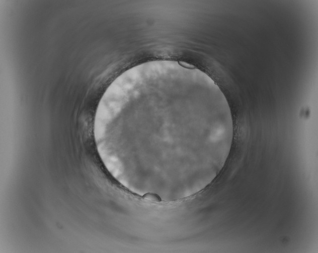 X0000114170043200911051537