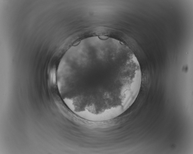 X0000114170046200911051537