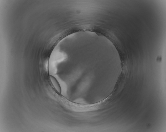 X0000114170047200911051537