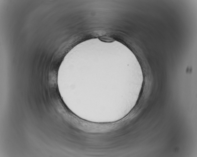 X0000114170048200911051537